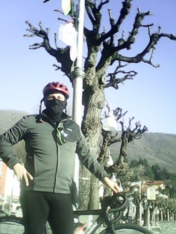 Mergozzo