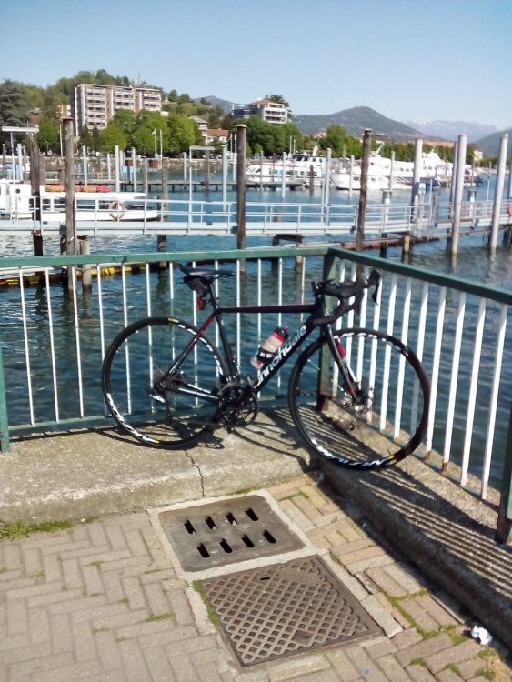 Arona