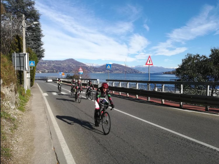 Arona