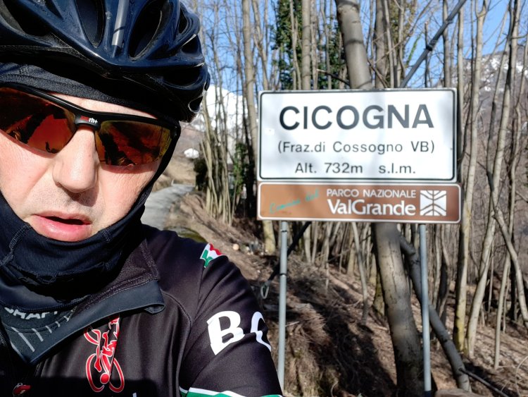 Cicogna